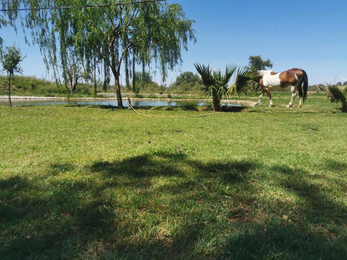Complejo Koi Daire General Alvear  Dış mekan fotoğraf