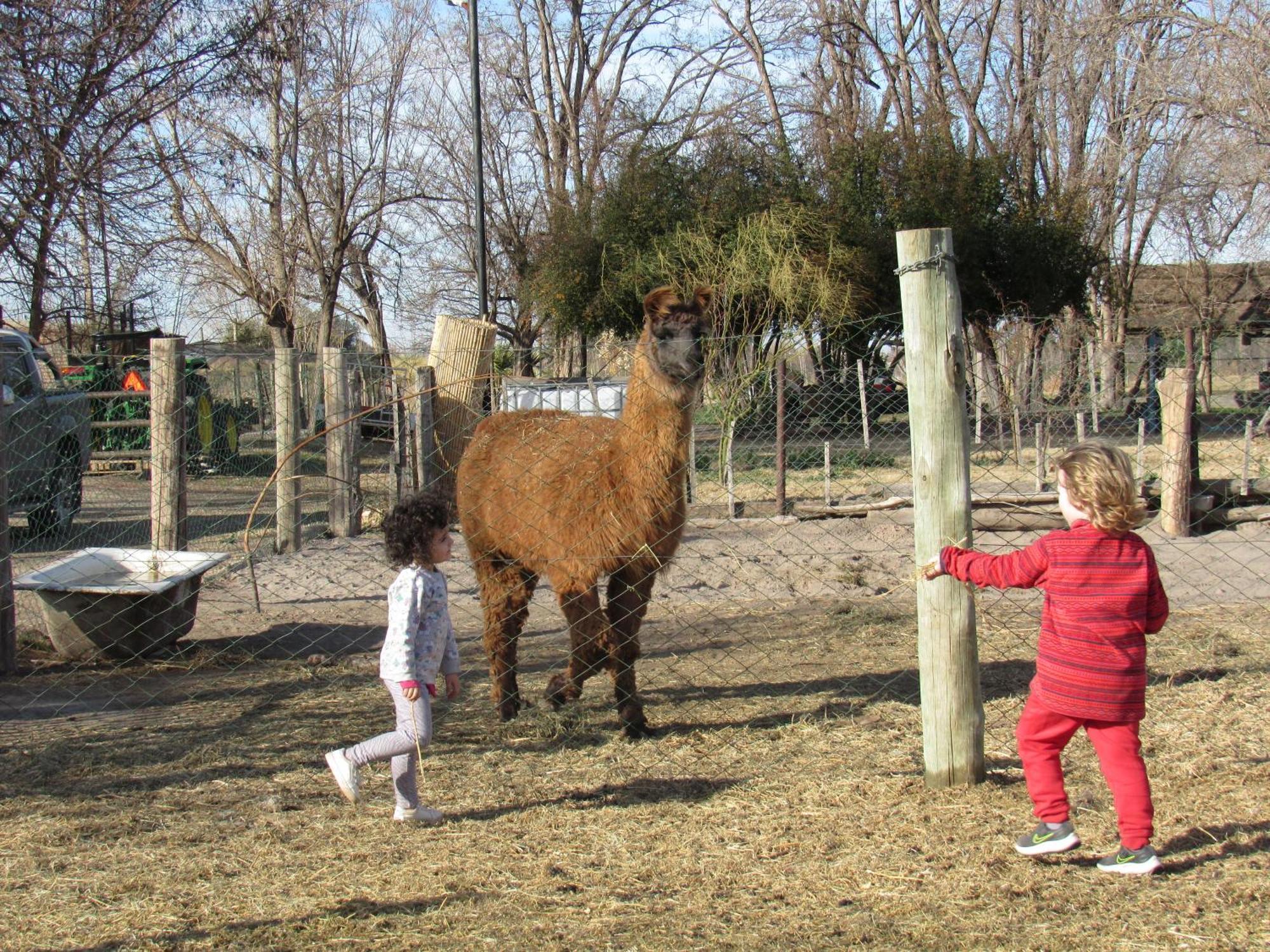 Complejo Koi Daire General Alvear  Dış mekan fotoğraf