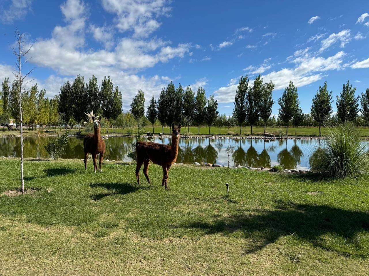 Complejo Koi Daire General Alvear  Dış mekan fotoğraf
