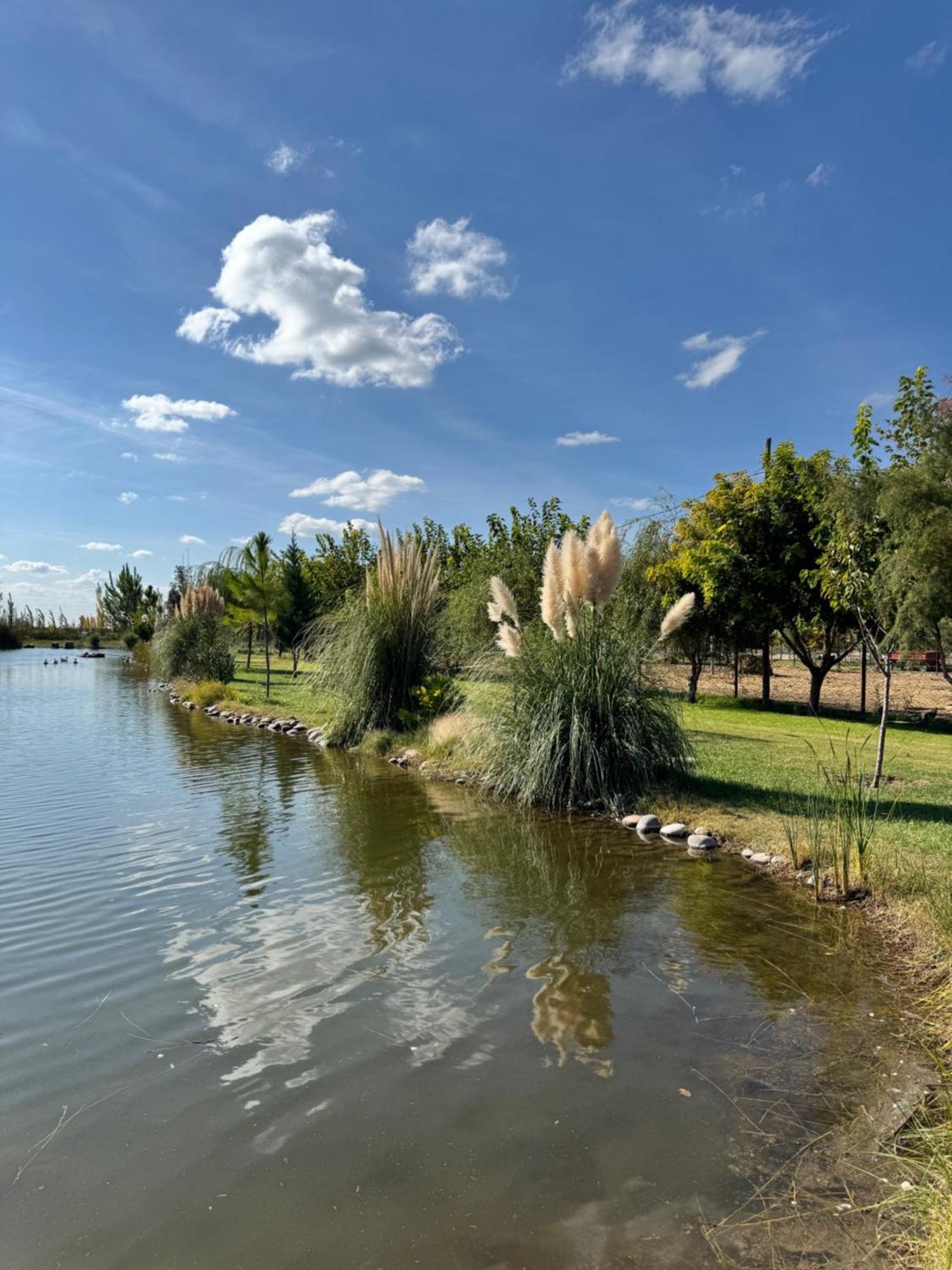 Complejo Koi Daire General Alvear  Dış mekan fotoğraf